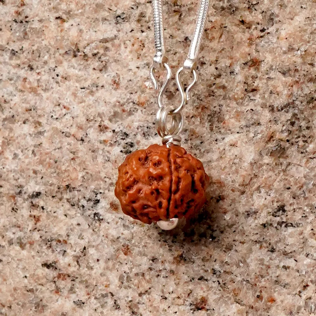 Рудракша Адийоги с серебренной цепочкой, Иша Лайф; Adiyogi Rudraksha With Silver Chain, Isha Life — купить в интернет-магазине
