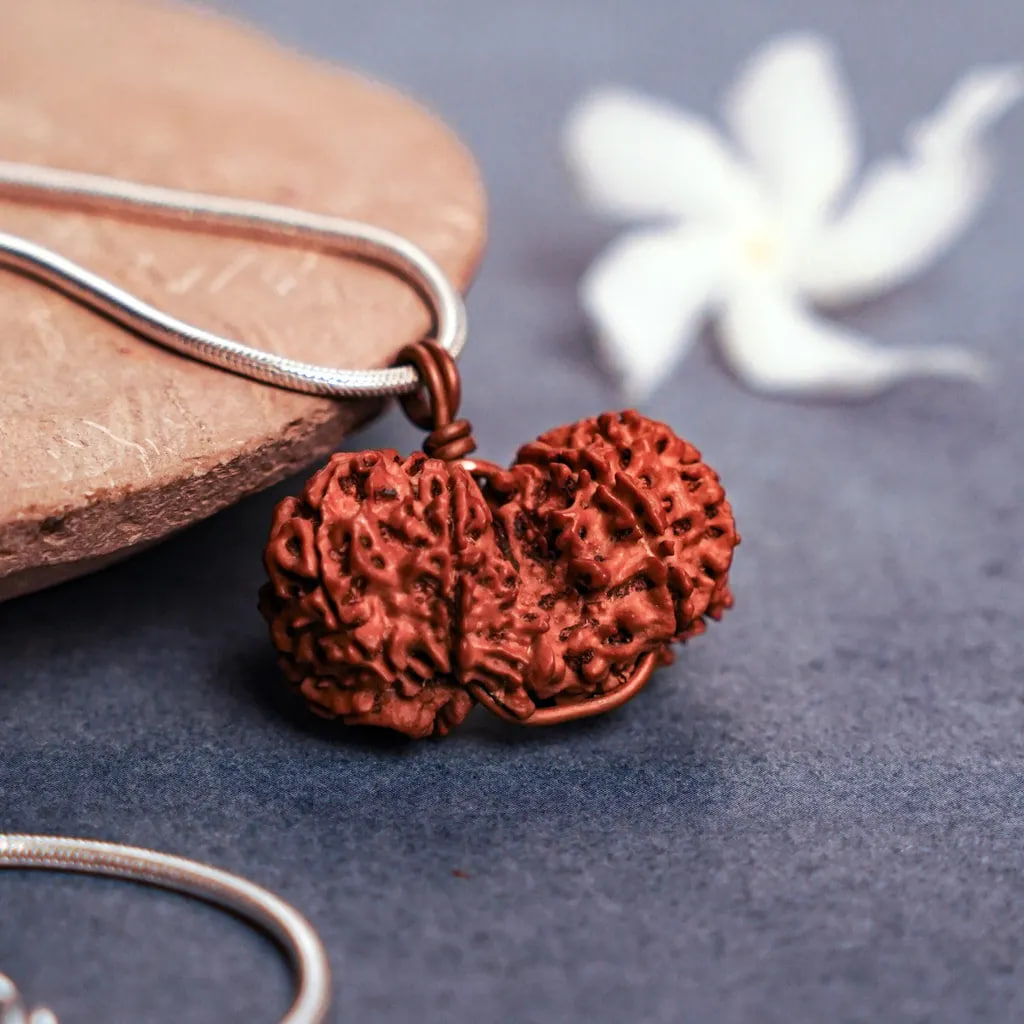 Rudraksha Grace of Gauri-Shankar, Isha Life — миниатюра 3