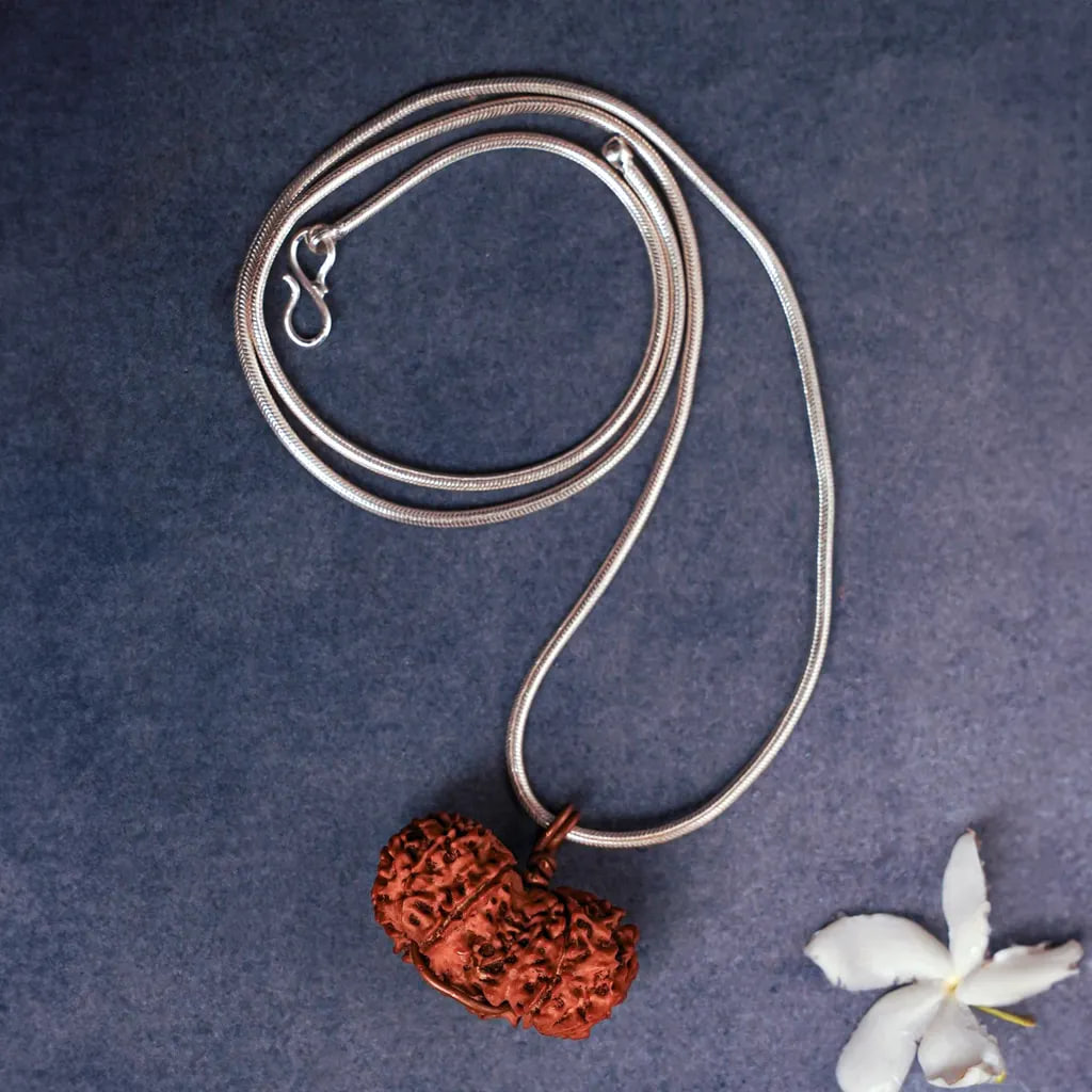 Rudraksha Grace of Gauri-Shankar, Isha Life — миниатюра 2
