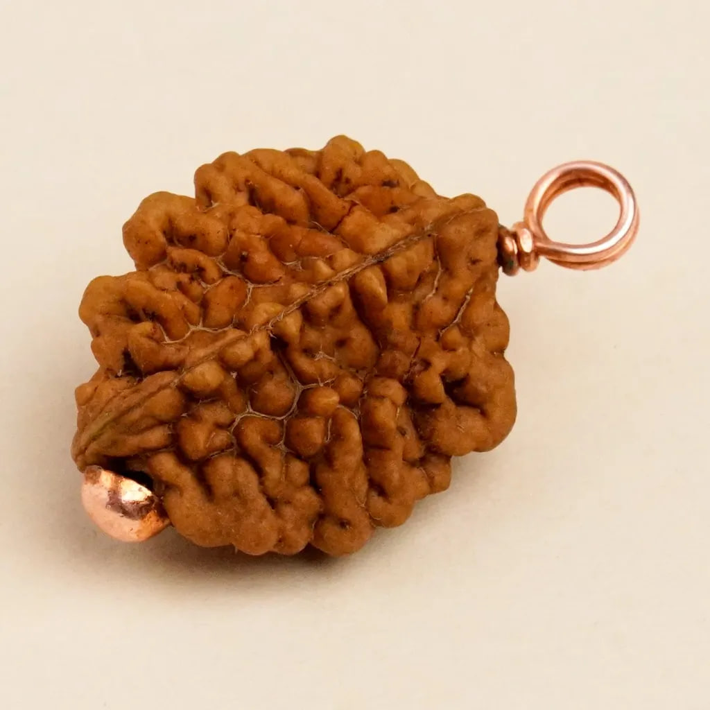 Рудракша Иша Двимукхи, Иша Лайф; Authentic Isha Dwimukhi Rudraksha bead, Isha Life — купить в интернет-магазине