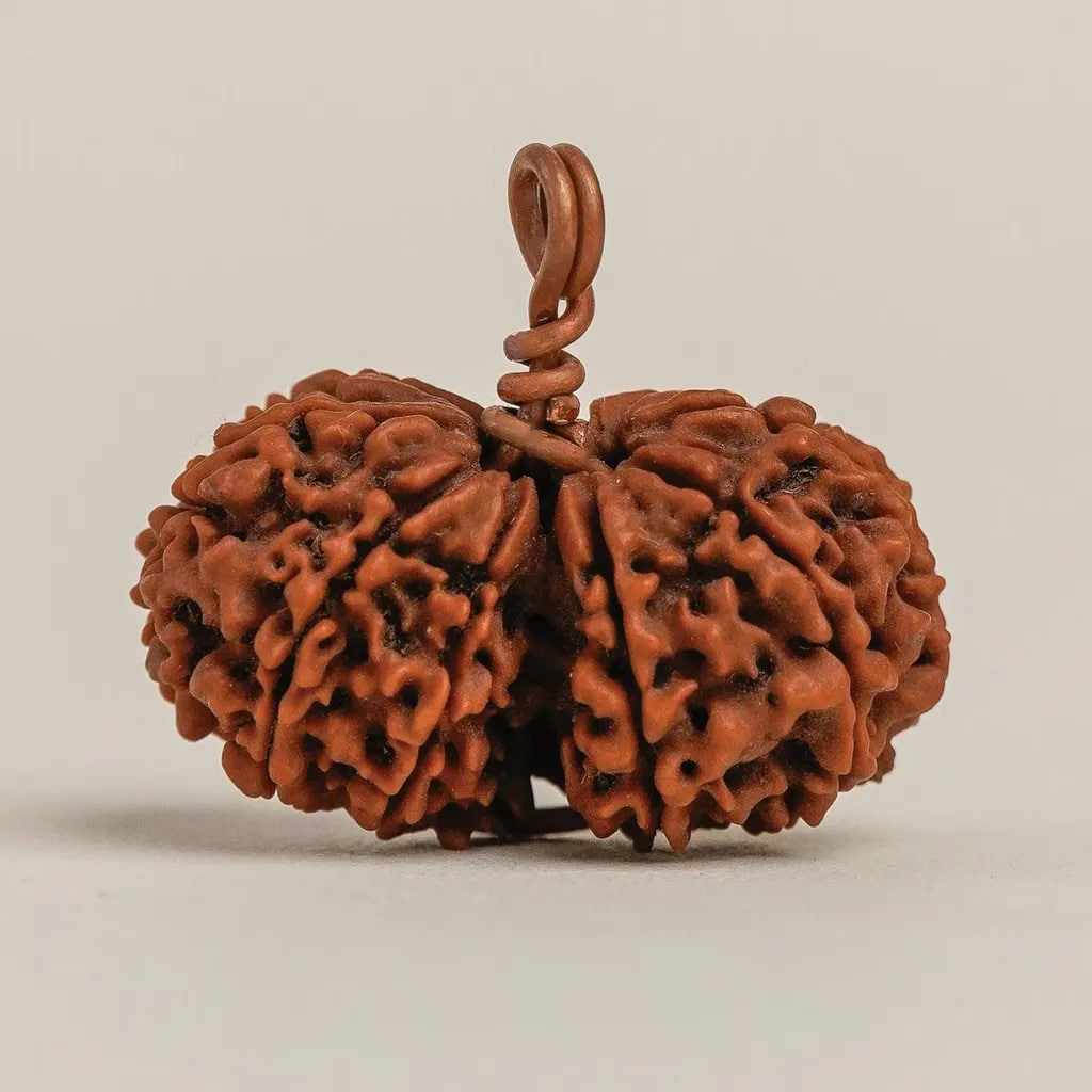 Рудракша Иша Гаури-Шанкар, Иша Лайф; Energized Isha Gauri-Shankar Rudraksha Isha Life — купить в интернет-магазине