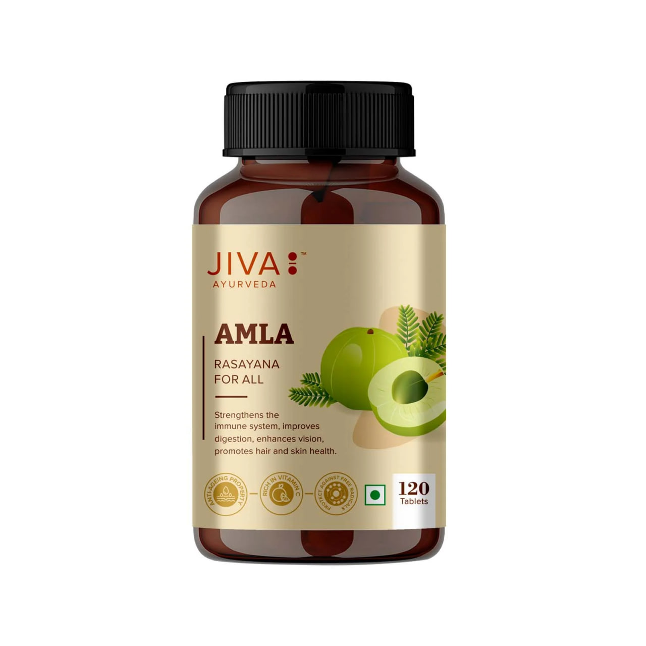 Амла, антиоксидант, 120 таблеток, Джива Аюрведа; Amla 120 Tablets, Jiva Ayurveda — купить в интернет-магазине