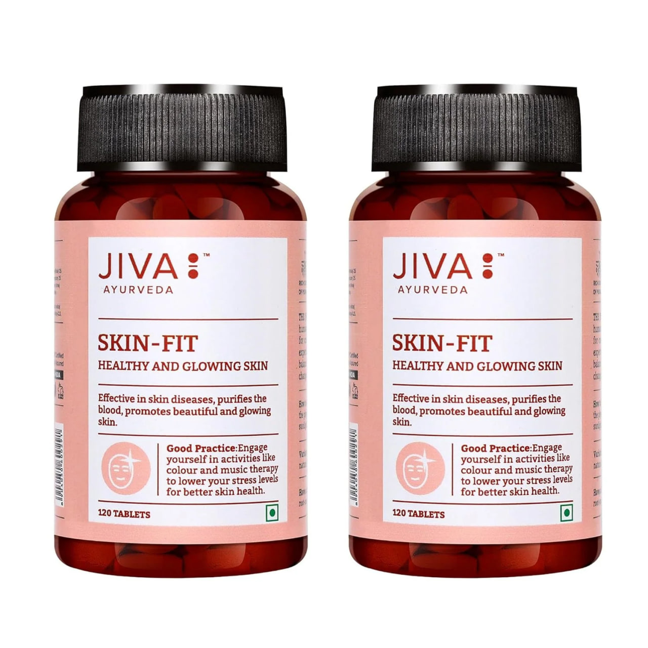 Скин фит, 120 таблеток для здоровья кожи, Джива Аюрведа; Skin fit, 120 tablet, Jiva Ayurveda — купить в интернет-магазине