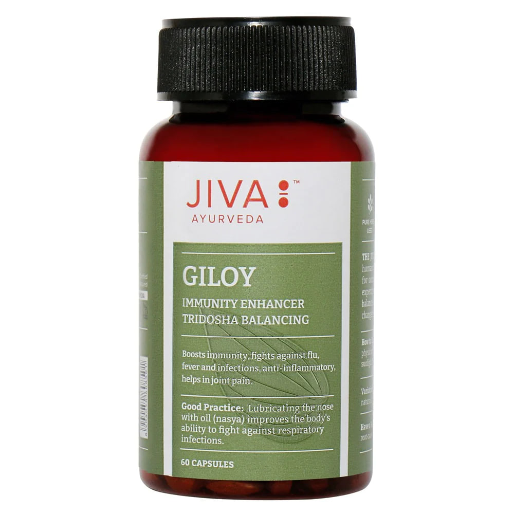Гилой (Гудучи), 60 таб., производитель Джива Аюрведа; Jiva Giloy 60 Capsule — купить в интернет-магазине