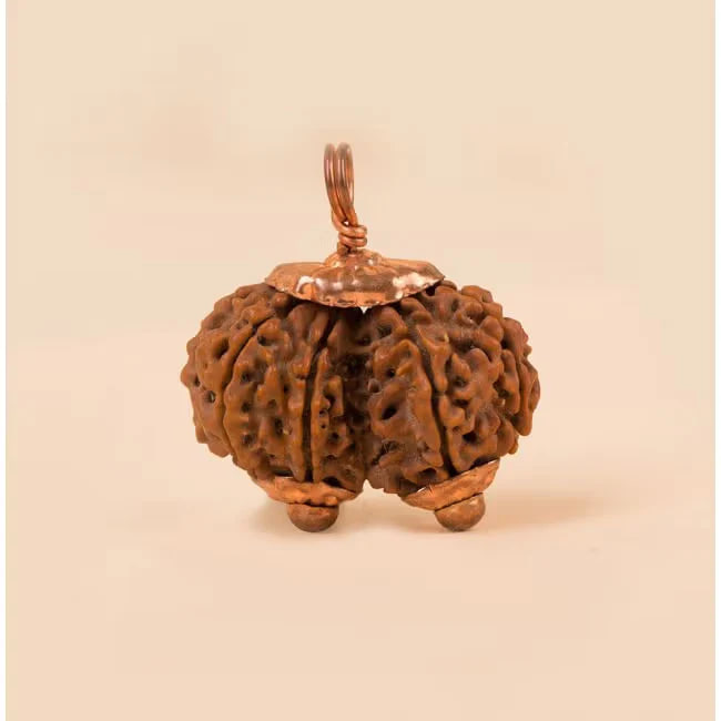 Кулон Рудракша сертифицированная Премиум качества; Rudraksha Bead Premium Quality — купить в интернет-магазине