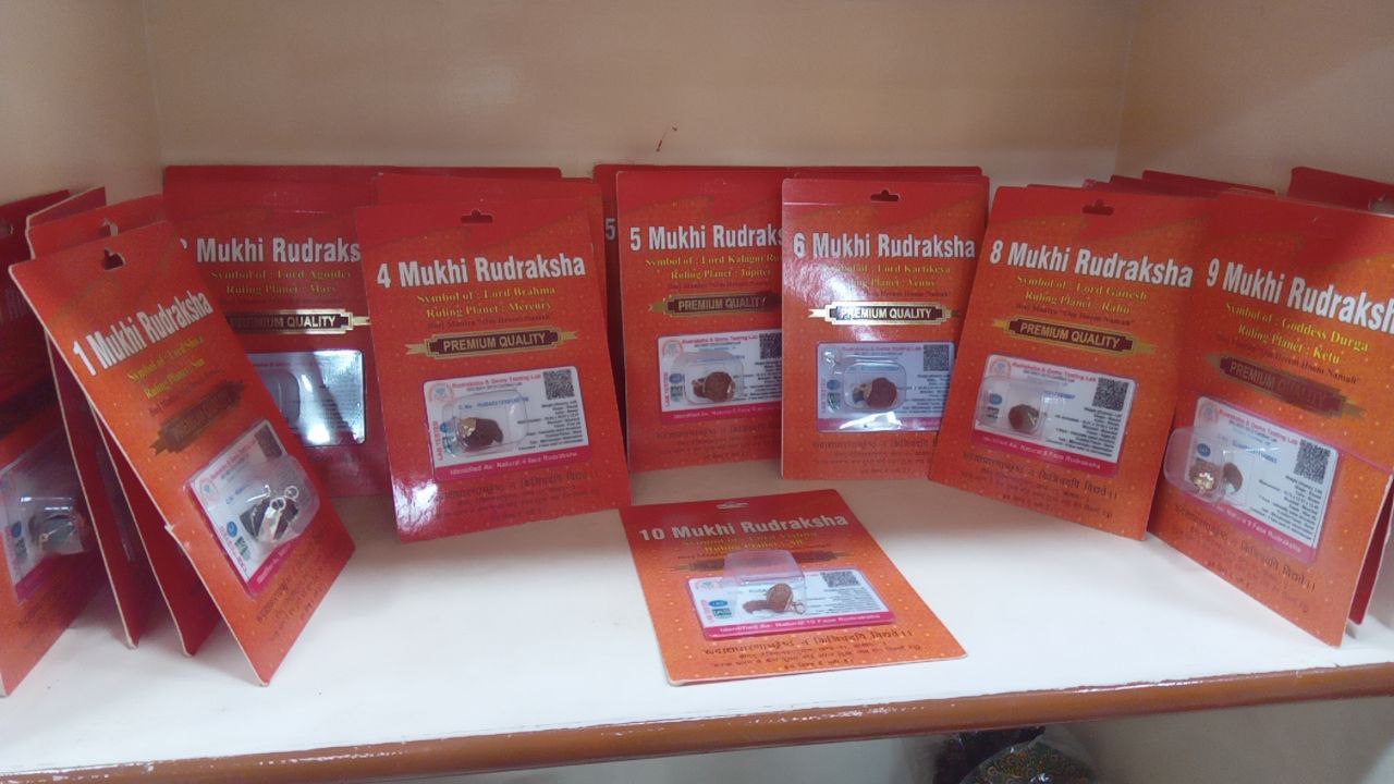 Кулон Рудракша сертифицированная Премиум качества; Rudraksha Bead Premium Quality — миниатюра 2