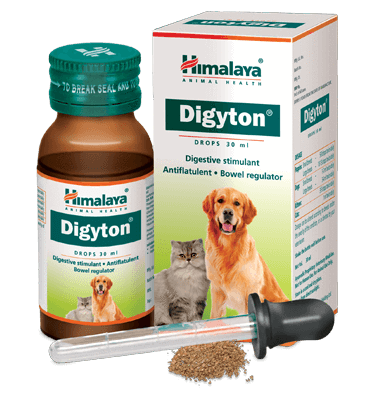Капли Дигитон Хималая, 30мл, Digyton Drops Himalaya, 30ml — купить в интернет-магазине