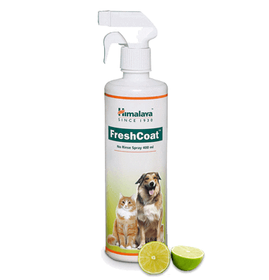 Фреш Коат: спрей для домашних животных, Хималая, 400 мл, FreshCoat, Himalaya, 400ml — купить в интернет-магазине