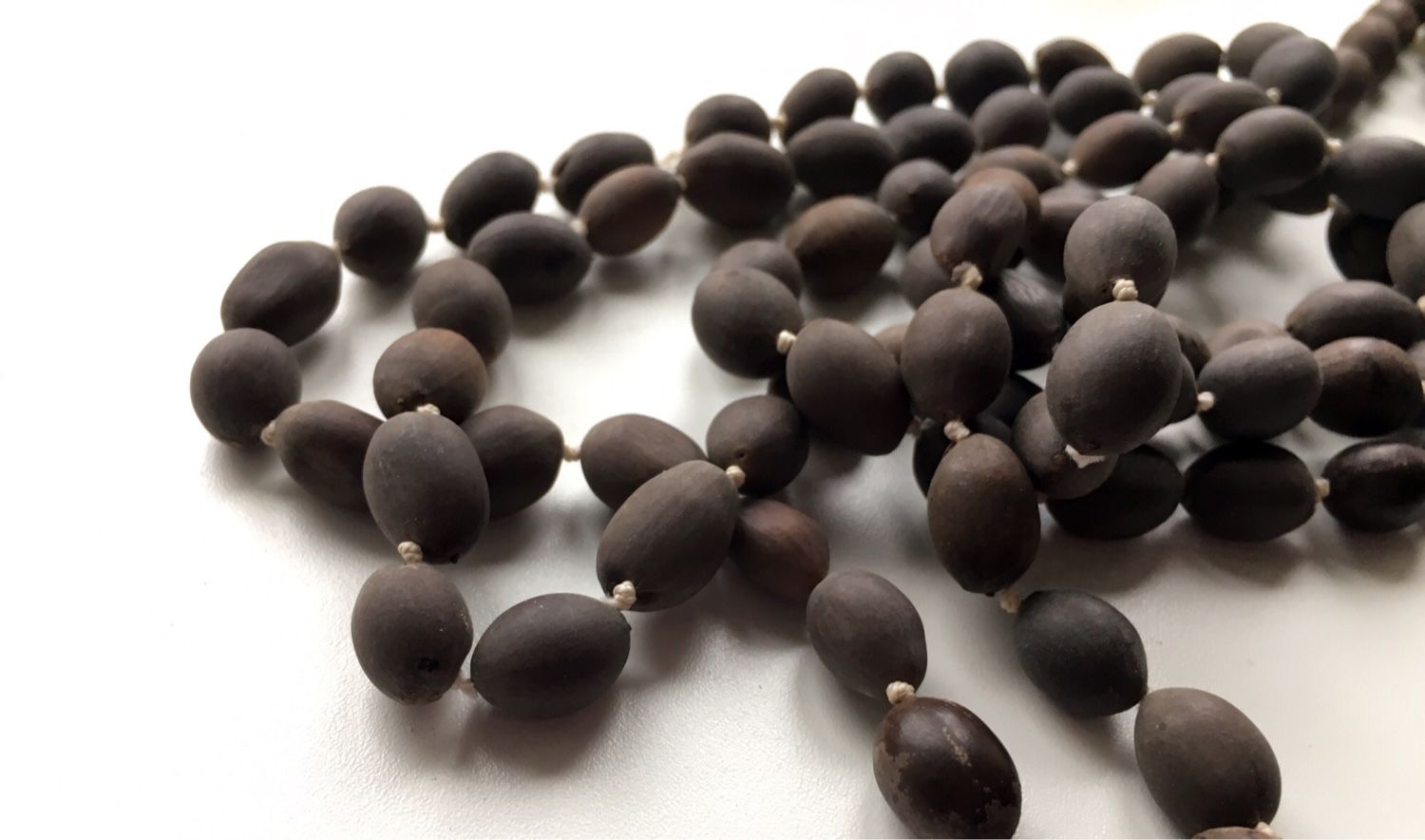 Четки из семян лотоса, 108 бусин \ Lotos beads (108) — купить в интернет-магазине