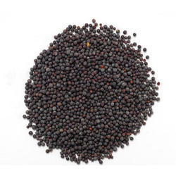 Черная Горчица (семена), 1кг, Black Mustard (seeds), 1 kg — купить в интернет-магазине