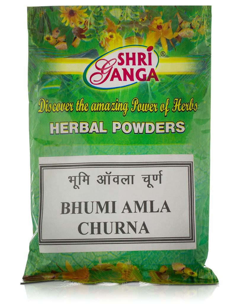 Бхуми Амла Чурна, 100 г, производитель Шри Ганга; Bhumi Amla Churna, 100 g, Shri Ganga — купить в интернет-магазине